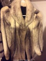 Front left side view of natural fur coat on hanger showing color and texture detail