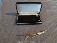 Photo of two small pins, one a horseshoe design and the other with a pearl, resting inside a small velvet box, with a larger gold brooch pin placed in front.