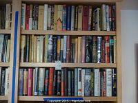 Three shelves filled with history books, titles visible on the spines including WWII, Russian history, and European history topics.