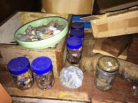 Overview photo showing several plastic jars with blue lids filled with various stones, a green bowl with loose rocks, and loose rock specimens on a wooden surface.