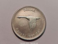 Photo of the obverse side of the 1967 Canadian silver dollar coin featuring a flying Canada goose. Coin shows signs of circulation with minor surface abrasions.