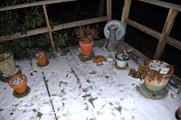 Overall outdoor scene of multiple small and medium-sized potted plants with dried foliage on wooden decking with snow, including birdbath and frog sculpture.