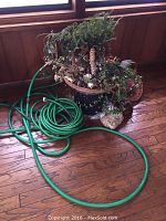 Green garden hose coiled on a wooden floor next to potted plants containing green foliage and natural stones.
