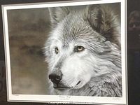 Close-up of the print showing the wolf portrait and edition number 1380/2000.