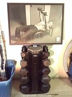 Overall view of Hampton dumbbells on stand with framed Marilyn Monroe bench press poster in background