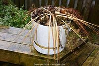 White round plastic pot with dried plants and soil on wooden deck