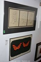 Photo showing two framed artworks mounted on a wall, butterfly print below and Matisse reproduction above.