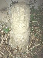 Front view of heavy stone Easter Island style figure sculpture with long nose and partial torso set against outdoor wall and foliage.