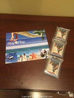 Lot contents showing three stacks of hockey cards in plastic sleeves along with an advertising flyer.