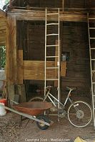 Full view of silver-colored Murray bicycle, rusty wheelbarrow, and wooden extendable ladder leaning against wood wall.