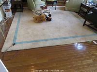 Full view of cream-colored rectangular rug with light blue border laid on hardwood floor, showing overall condition and color.
