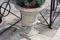 Front angled view of large concrete garden pot with a flared rim and scalloped design featuring chips and breaks.