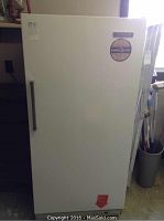 Front view of white Kelvinator upright freezer, showing door with handle and energy guide sticker.