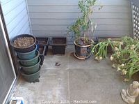 Overview of stacked green plastic pots and various black rectangular planters with soil or plants, alongside a large plant in ceramic pot on a saucer.