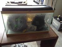 Front view of rectangular glass fish tank with water pump and filter inside, placed on a wooden surface.