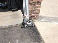 Pair of Airwalk inline skates placed outdoors on pavement near brick wall and concrete step.