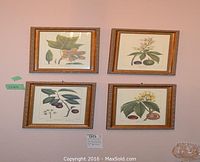 Four framed botanical prints arranged on a wall, each in a gold-toned frame measuring about 12x9 inches with detailed illustrations of leaves and fruit.