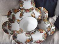 Overview photo showing twelve plates arranged with the central serving bowl on a beige surface, showing detailed berry and fruit motif on white porcelain.