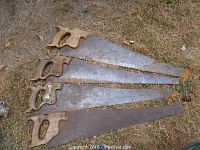 Four vintage wood handled hand saws laid on grass showing rust and wear.