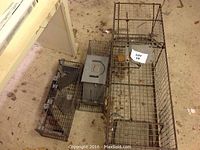 Three metal animal traps placed on floor: one large cage trap, two smaller cage traps, all show wear.