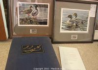 Both framed Bateman prints and Audubon folio arranged on carpet