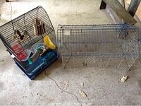 Two small animal cages: a colorful hamster cage with blue plastic base and various attached accessories, next to a larger rectangular wire cage.