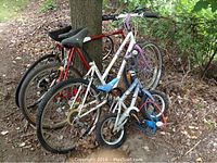 Four bicycles leaning against a tree outdoors on dirt ground with leaves, variety of sizes from child's bike with small wheels to adult bike with larger wheels.