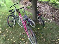 Four bicycles leaning against a tree outdoors, showing varying tire sizes from 12" to 20", with signs of rust and wear.