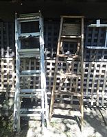 Photo showing two ladders standing side by side, one wood and one aluminum, against a wooden lattice background.