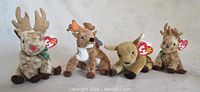 Front view of all four Beanie Babies reindeer plush toys placed in a row showing different fur textures and attached Ty heart tags.