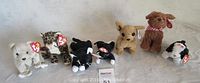 Full view of all 7 Ty Beanie Babies plush toys arranged in a line with visible Ty tags.