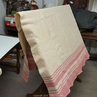 Pink and tan wool blanket draped over a stand, showing tan base color with pink and tan stripes on border.