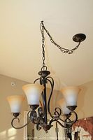 Front side view of chandelier hanging from ceiling, showing chain and five frosted glass shades on curved black metal arms.
