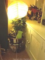 Asian paper lantern lamp glowing on top of a ceramic planter with artificial bamboo tree and green vase, part of the lot.