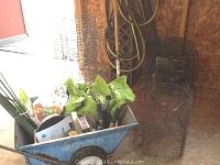 Blue metal Load Hog garden cart loaded with garden tools and supplies. Behind it are rolled metal mesh fencing pieces and garden hoses hanging on hooks.