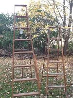 Two wooden ladders side by side outdoors on fallen leaves, one shorter and labeled Werner.
