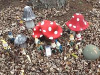 Overview of all garden mushrooms and elf figurines placed on dry leaves outdoors.