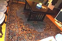 Rug under black table with chairs, displaying overall pattern and condition