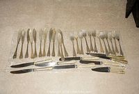 Arranged view of all flatware: 9 large handled knives at bottom, 2 small handled knives, 12 fish knives top left, 12 forks top right.