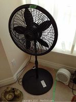 Full view of the black floor fan standing upright by the wall, showing the stand and round base with power cord visible.
