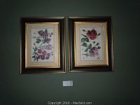Photo of two framed floral prints with black frames with gold edging and textured cream crackle-patterned matting, hanging on a green wall.