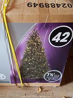 Cardboard box showing the sealed packaging with tree image, NOMA branding and size marking