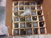 Open box showing 60 frosted 300 watt bulbs in individual compartments.