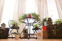Patio set shown indoors with table and chairs surrounded by plants and decorative items.