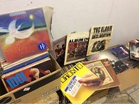 Three cardboard boxes filled with vinyl records; visible album covers include Billy Idol, Album 17, The Alarm Declaration and Toronto Credit.