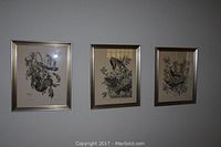 Wide view showing all three framed art prints hanging on a wall, each with silver frames showcasing detailed bird illustrations.