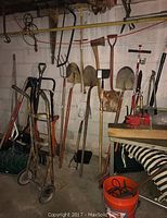 Photo of shovels, rakes, hoes, hand trucks, clippers, and other garden tools leaning against a wall in a basement or garage.