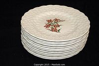 Stacked view of 12 Copeland Spode plates showing embossed details on rim and floral center design.