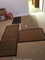Photo of four small scatter rugs arranged on a beige carpet, showing their sizes and colors