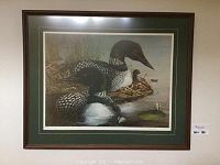 Full view of framed artwork showing loons on water and nest.